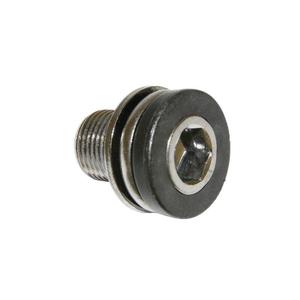 20530-bottom-bracket-screw-algi-12x100-00343000-gold-black-o12x100-mm